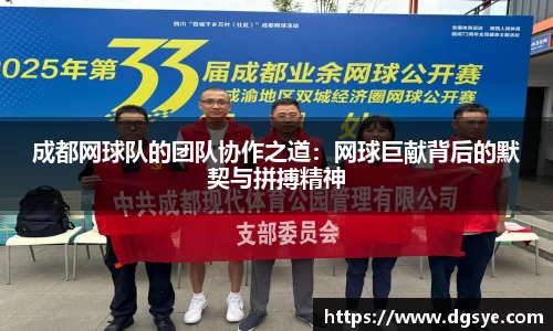 成都网球队的团队协作之道：网球巨献背后的默契与拼搏精神